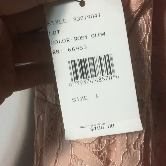 CeCe by Cynthia Steffe lace midi dress, rose, sz6 - Picture 6 of 8